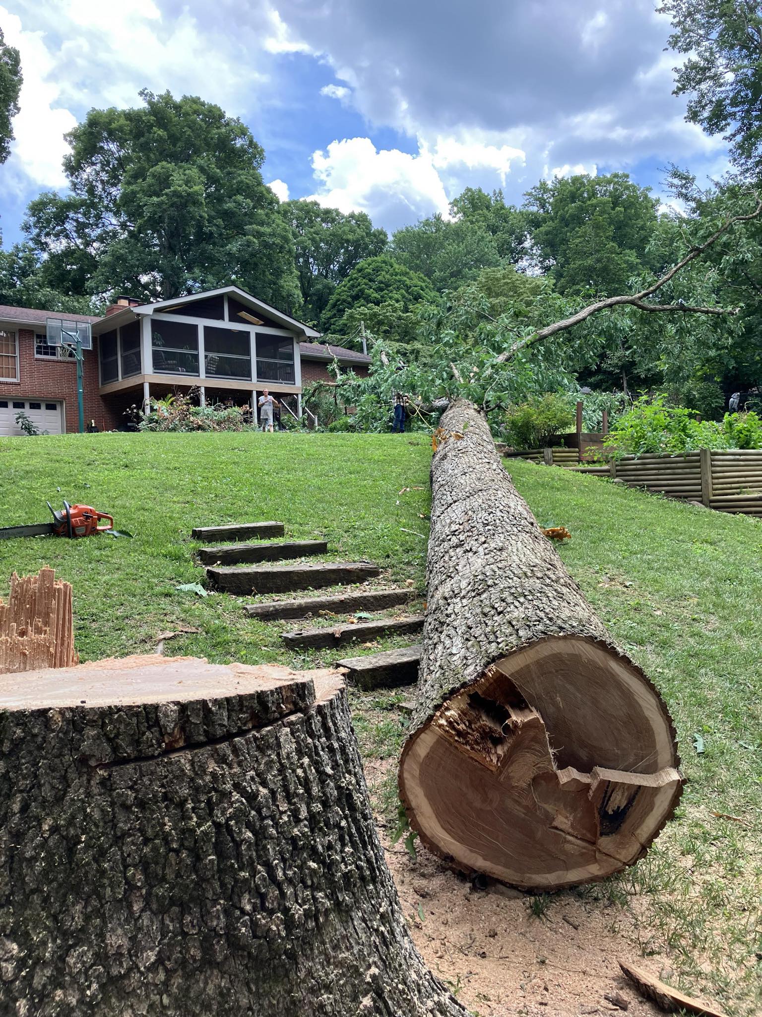 Red Oak Down